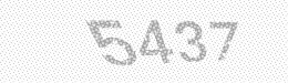 Visual security code — type the characters shown in the image